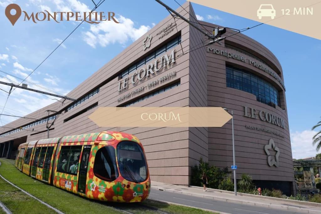 016- T2 Tropisme, Appart 1 Chambre,Clim,Wifi,Parking Монпелье Экстерьер фото